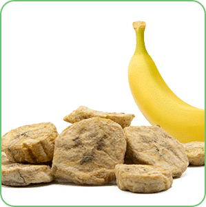 Module-BananaSlice Chewy